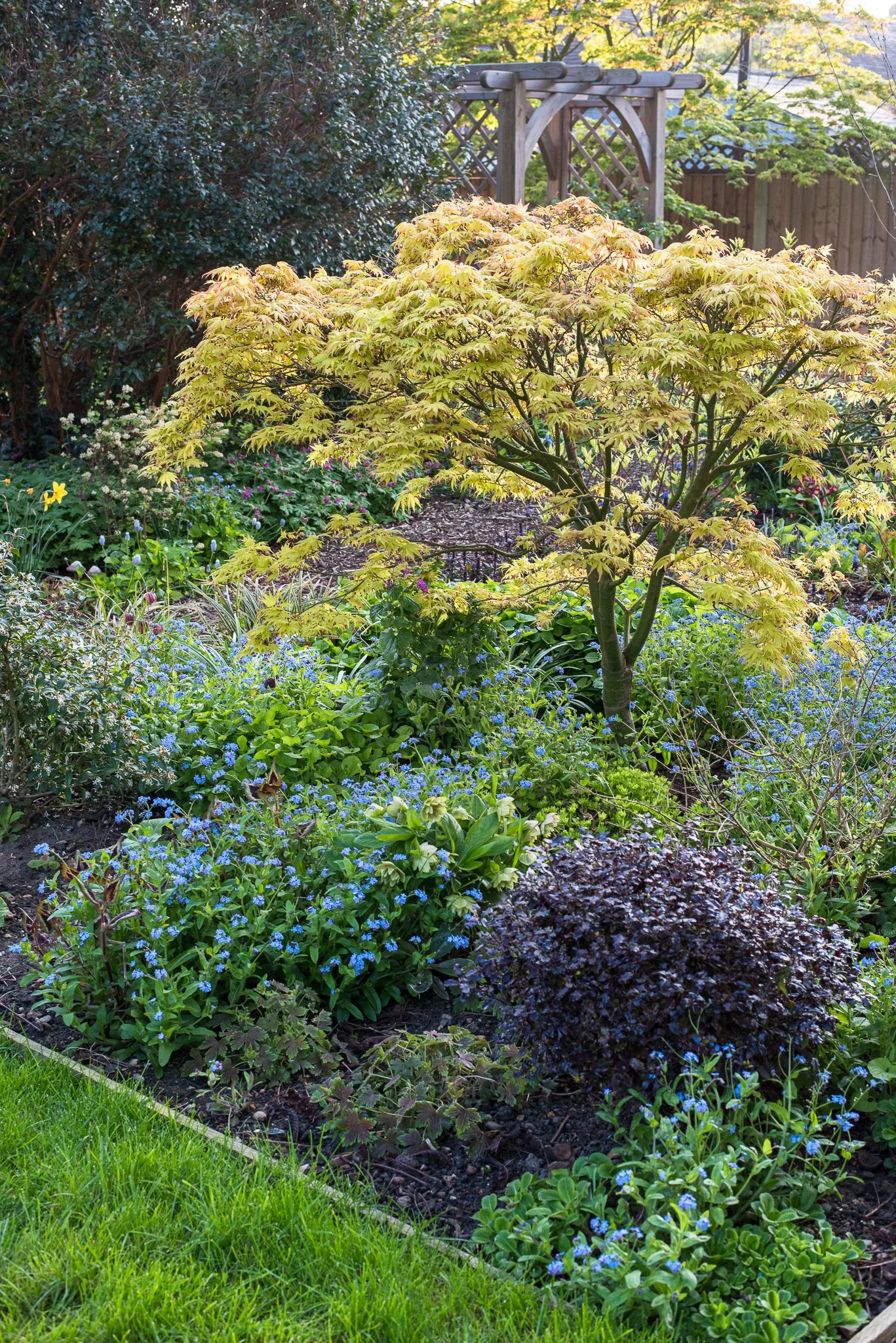 Aldred_20230419__DSC9043.jpg