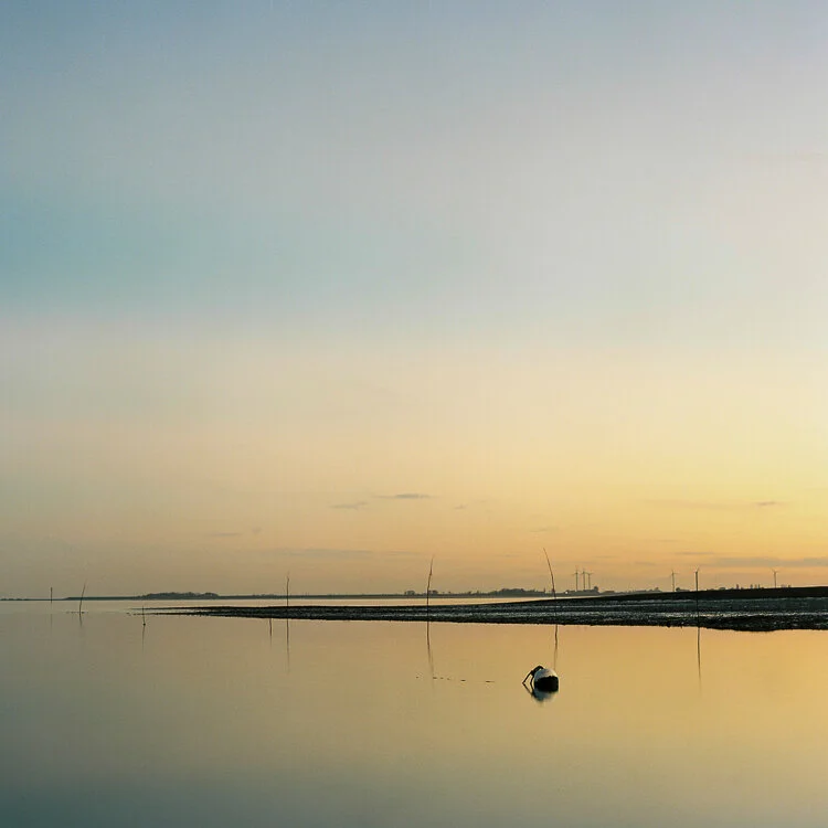 Mersey Island looking towards the Blackwater Estuary