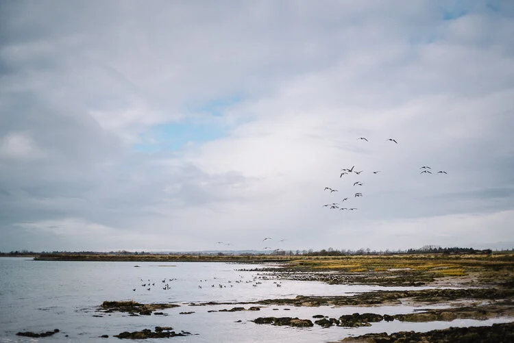 Blackwater near Rolls Farm, Tollesbury
