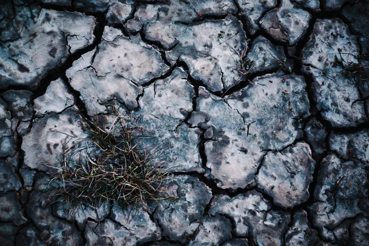 Cracked Earth, Tollesbury