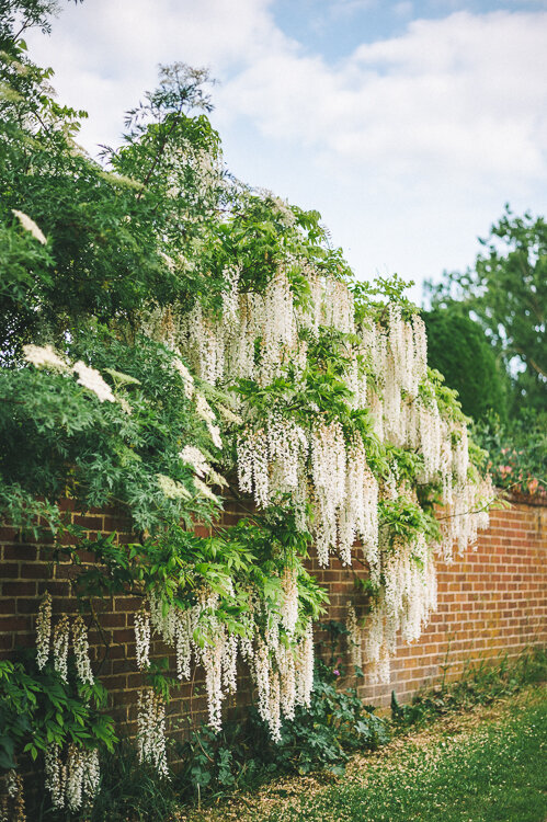 Chelmer Valley, near Woodham Walter