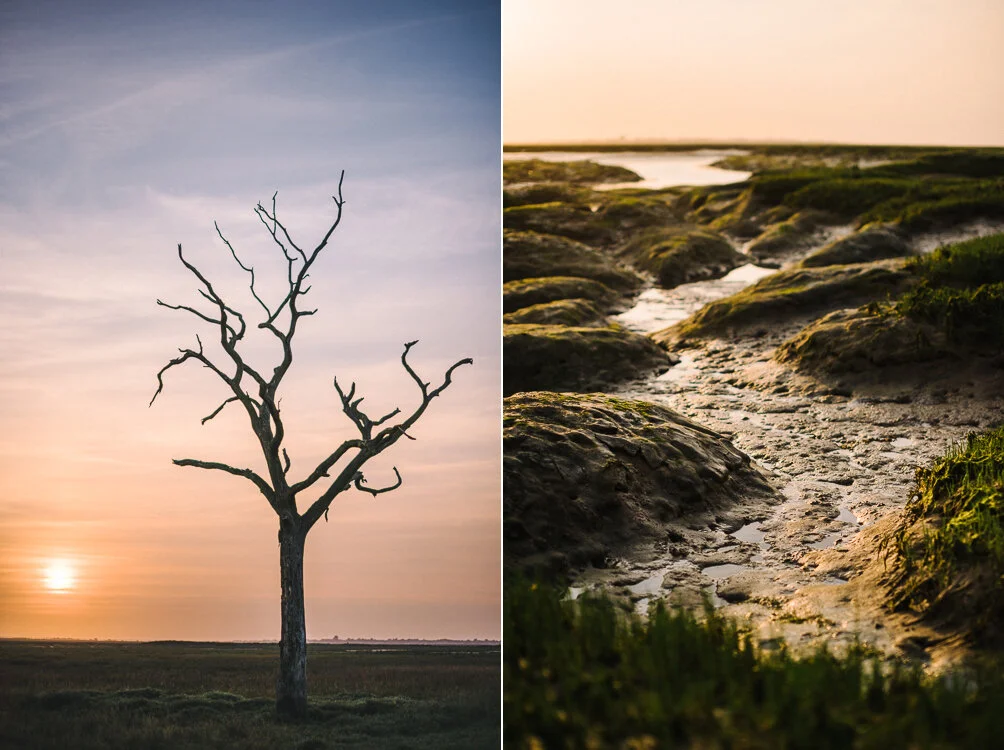 On the sea wall at sunrise