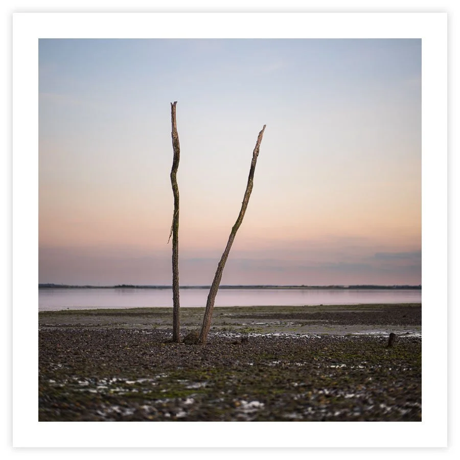 An Evening At Wilkins Farm