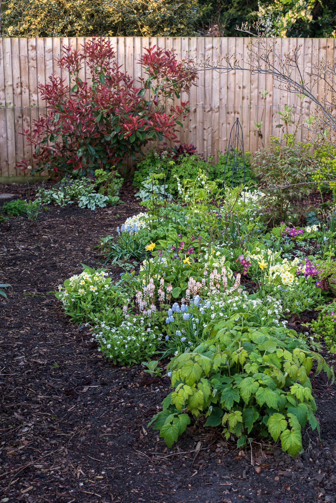 Aldred_20230419__DSC9025.jpg
