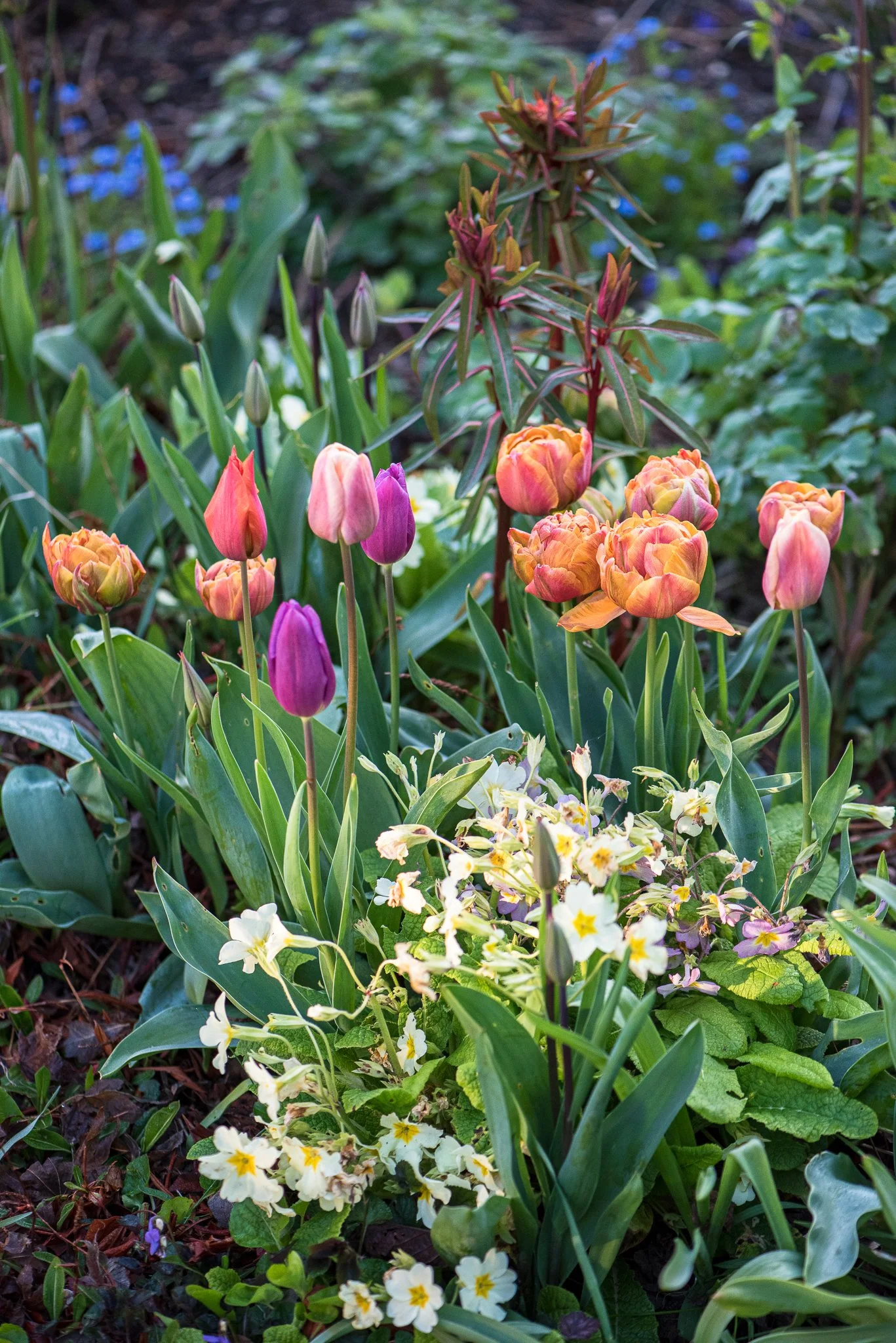 Aldred_20230419__DSC9068.jpg