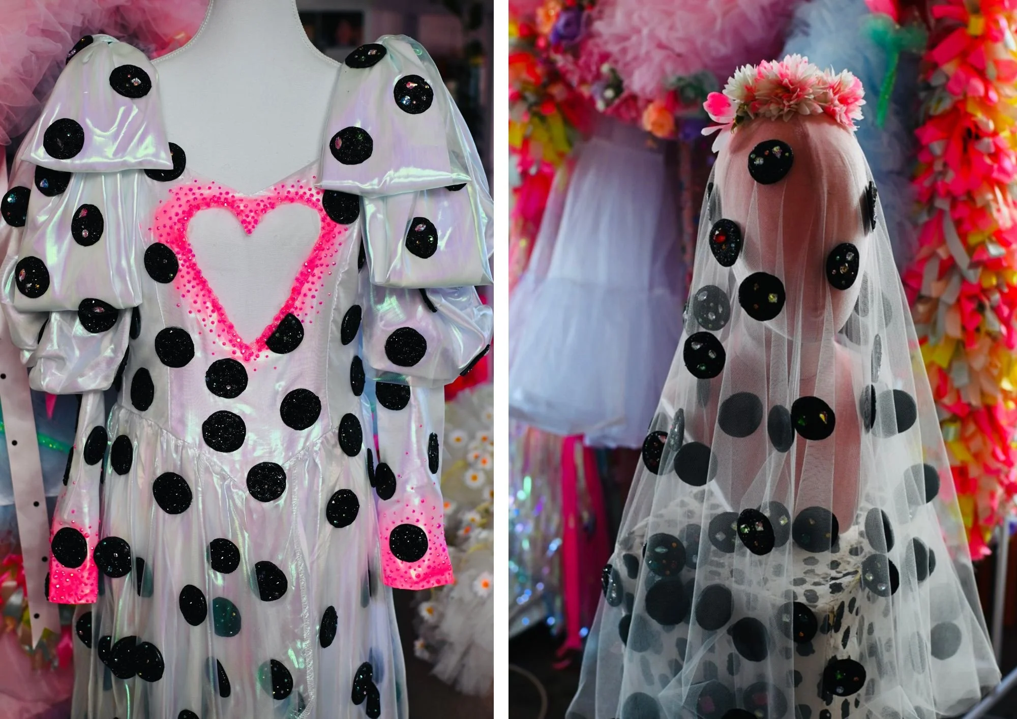 dalmatian4.jpg