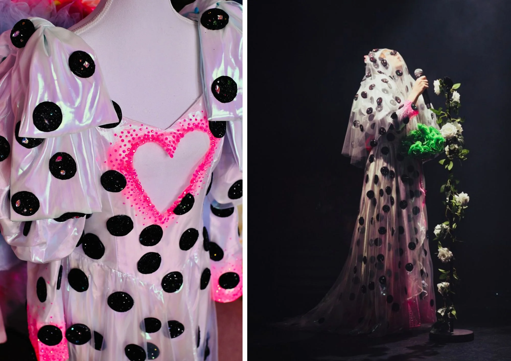 dalmatian.jpg