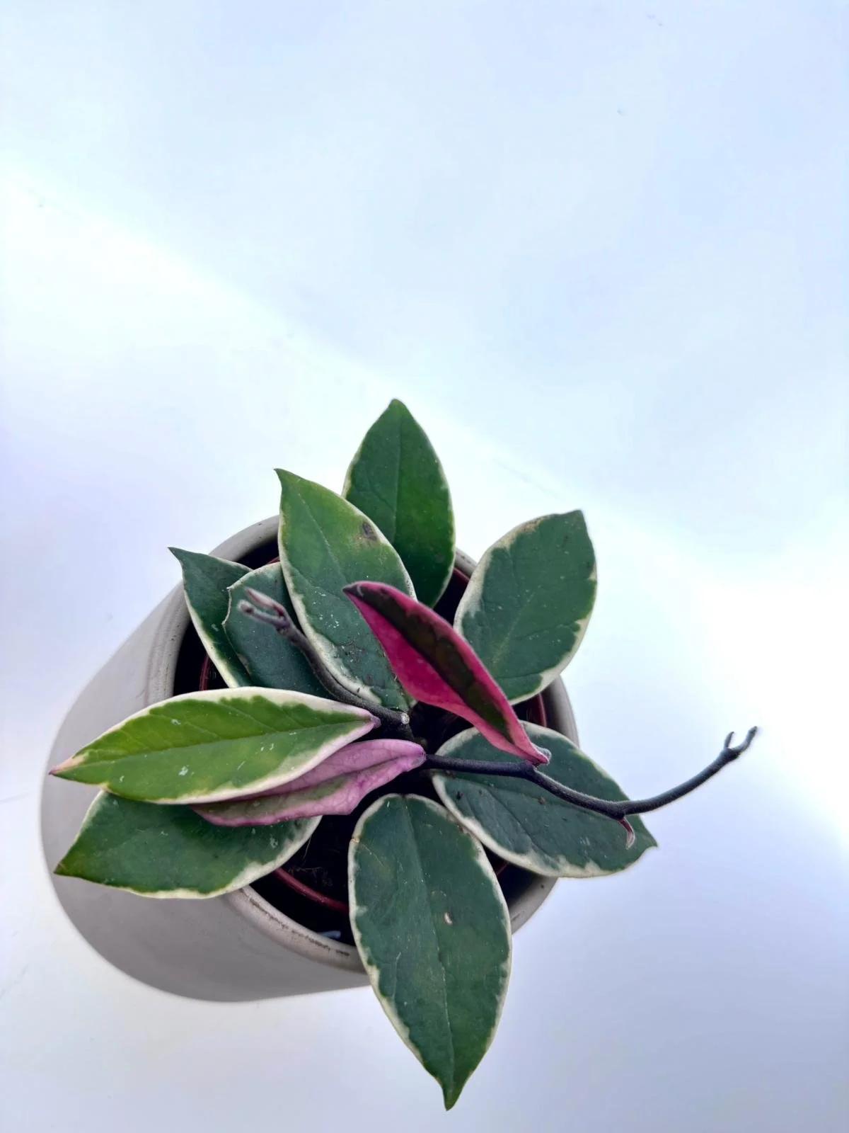 WhatsApp Image 2026-03-11 at 11.37.47 (1).jpeg