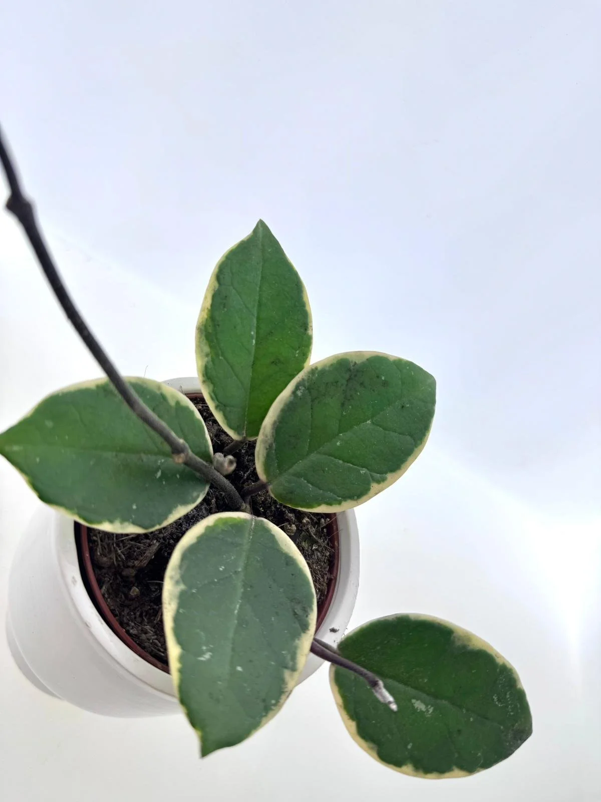 WhatsApp Image 2026-03-11 at 10.39.05 (1).jpeg