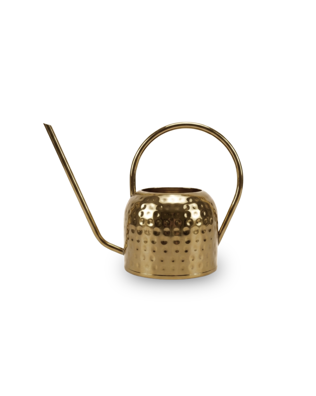 Untitled design (99).png