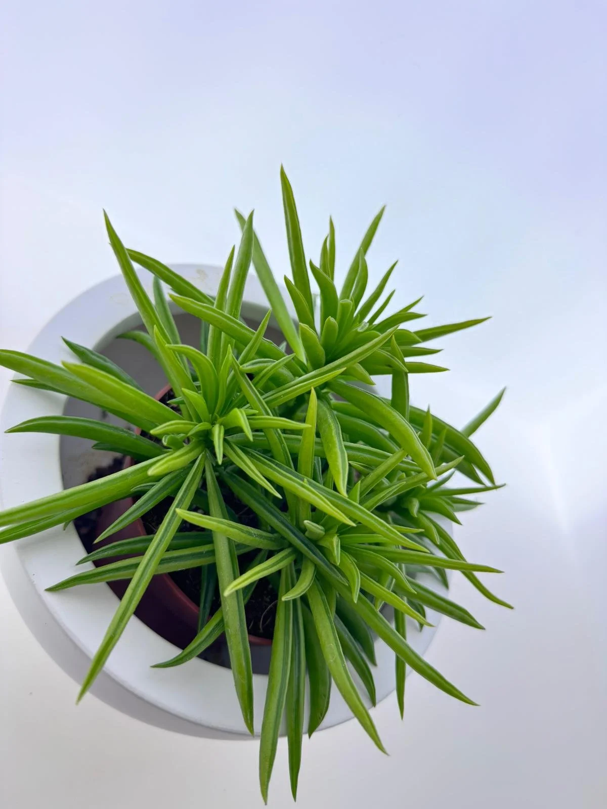 WhatsApp Image 2026-03-12 at 11.41.22 (5).jpeg