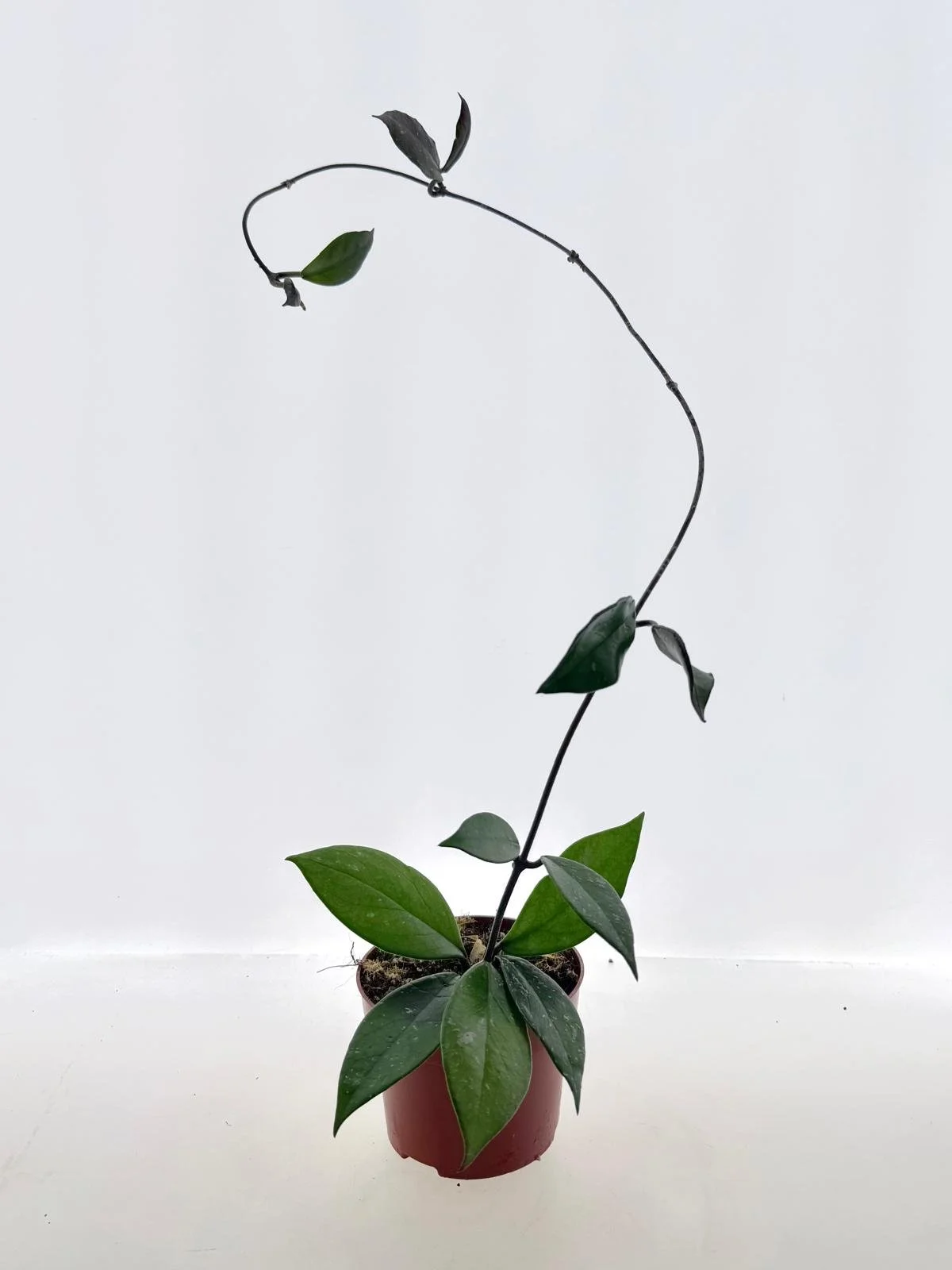 WhatsApp Image 2026-03-11 at 16.24.23 (1).jpeg