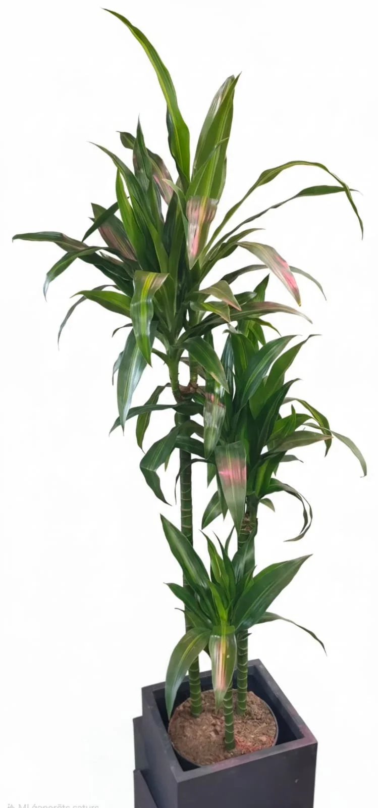 WhatsApp Image 2026-03-17 at 15.53.04 (1).jpeg