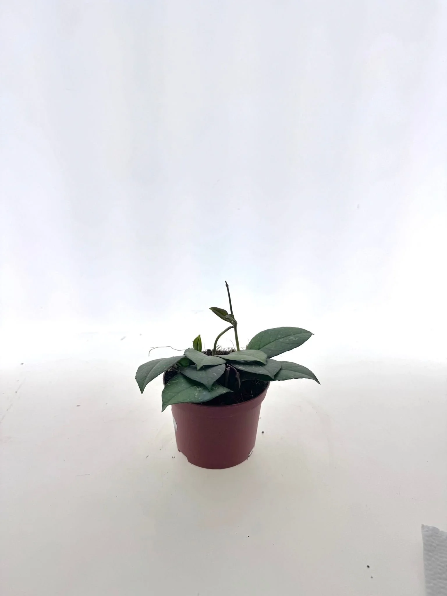 WhatsApp Image 2026-03-10 at 17.26.26.jpeg