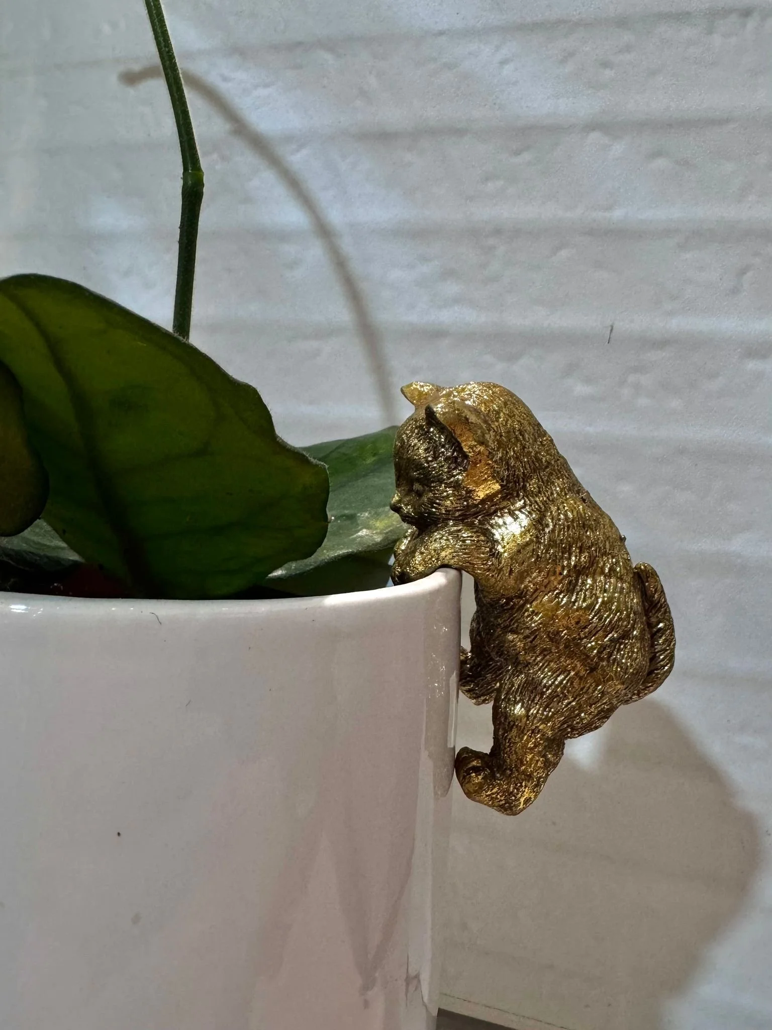 WhatsApp Image 2026-03-10 at 16.24.26 (1).jpeg