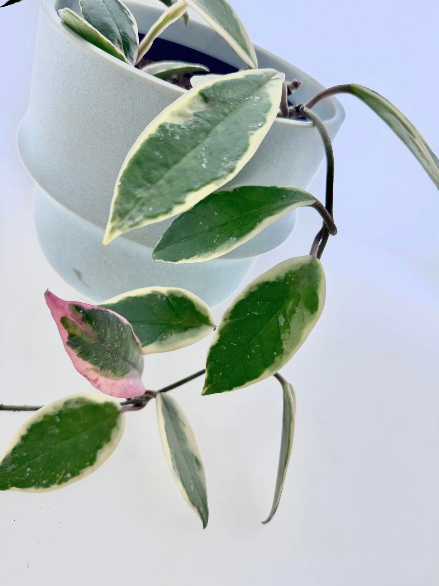 WhatsApp Image 2026-03-12 at 12.19.24.jpeg