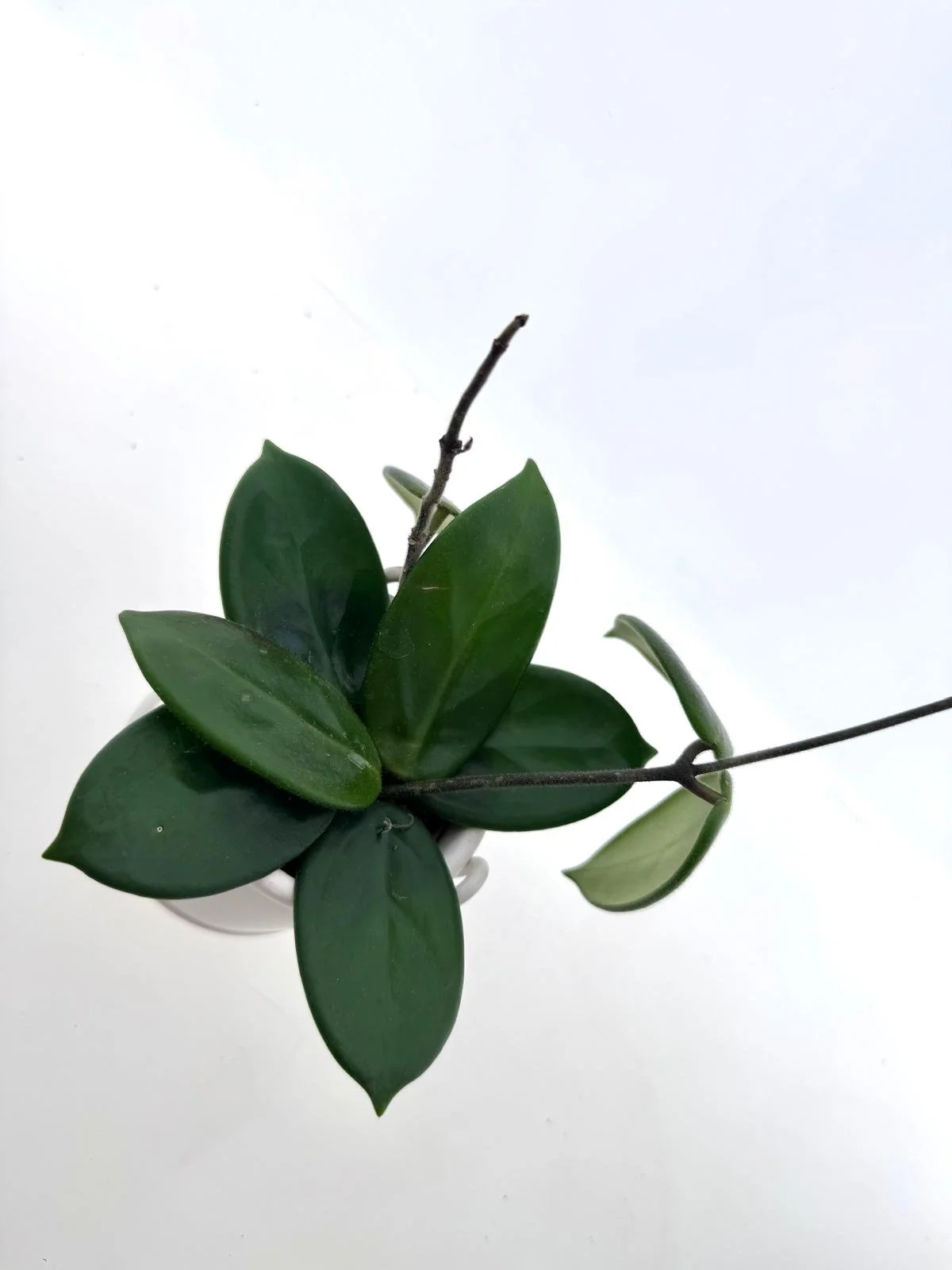 WhatsApp Image 2026-03-11 at 11.02.13 (1).jpeg