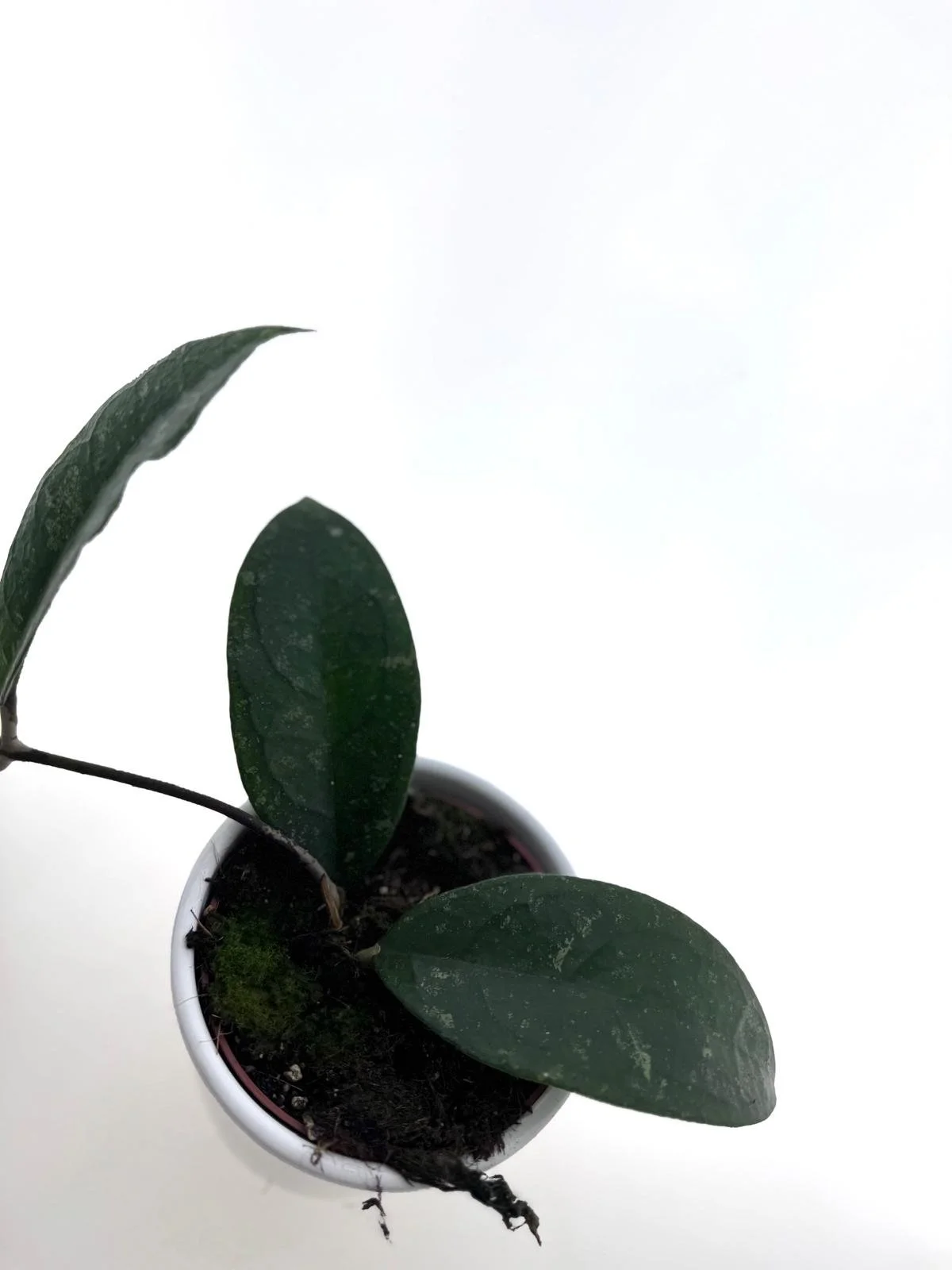 WhatsApp Image 2026-03-25 at 15.41.22 (1).jpeg