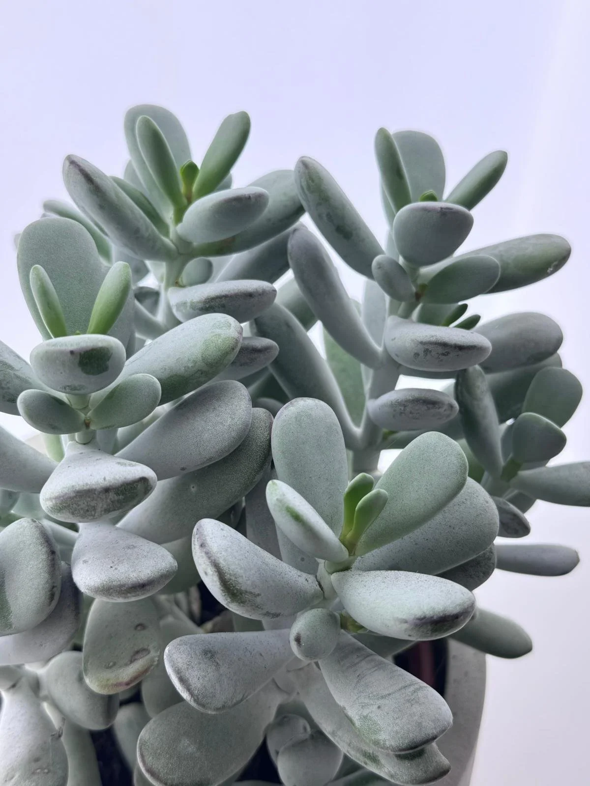 WhatsApp Image 2026-03-10 at 14.14.25.jpeg