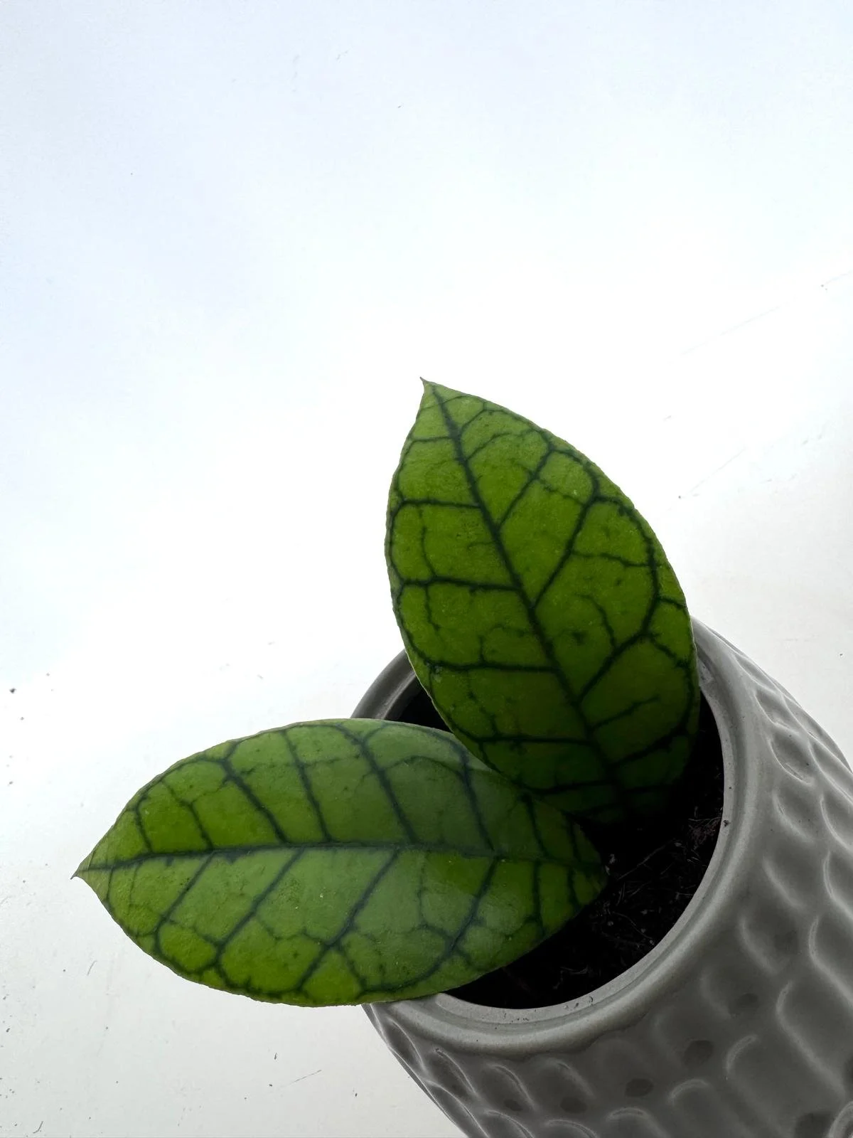 WhatsApp Image 2026-03-25 at 14.33.24 (6).jpeg