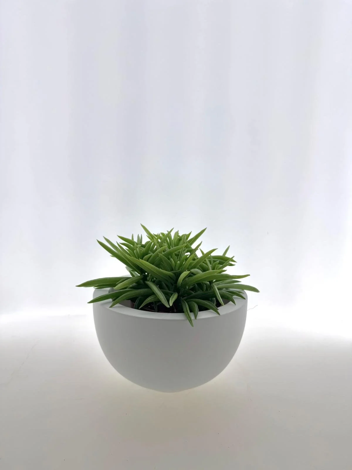 WhatsApp Image 2026-03-12 at 11.41.22 (4).jpeg