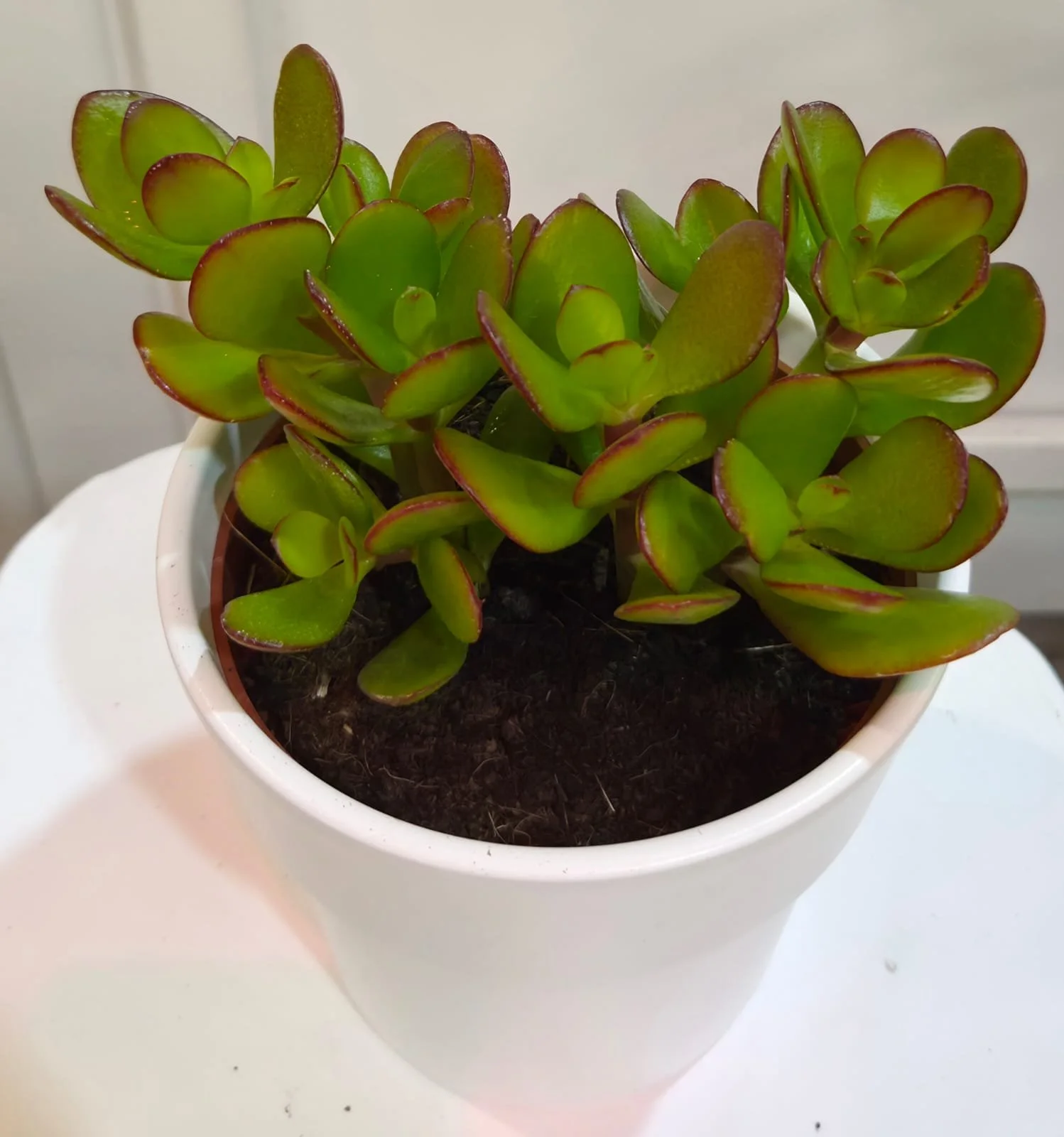 WhatsApp Image 2026-03-17 at 14.31.47 (1).jpeg