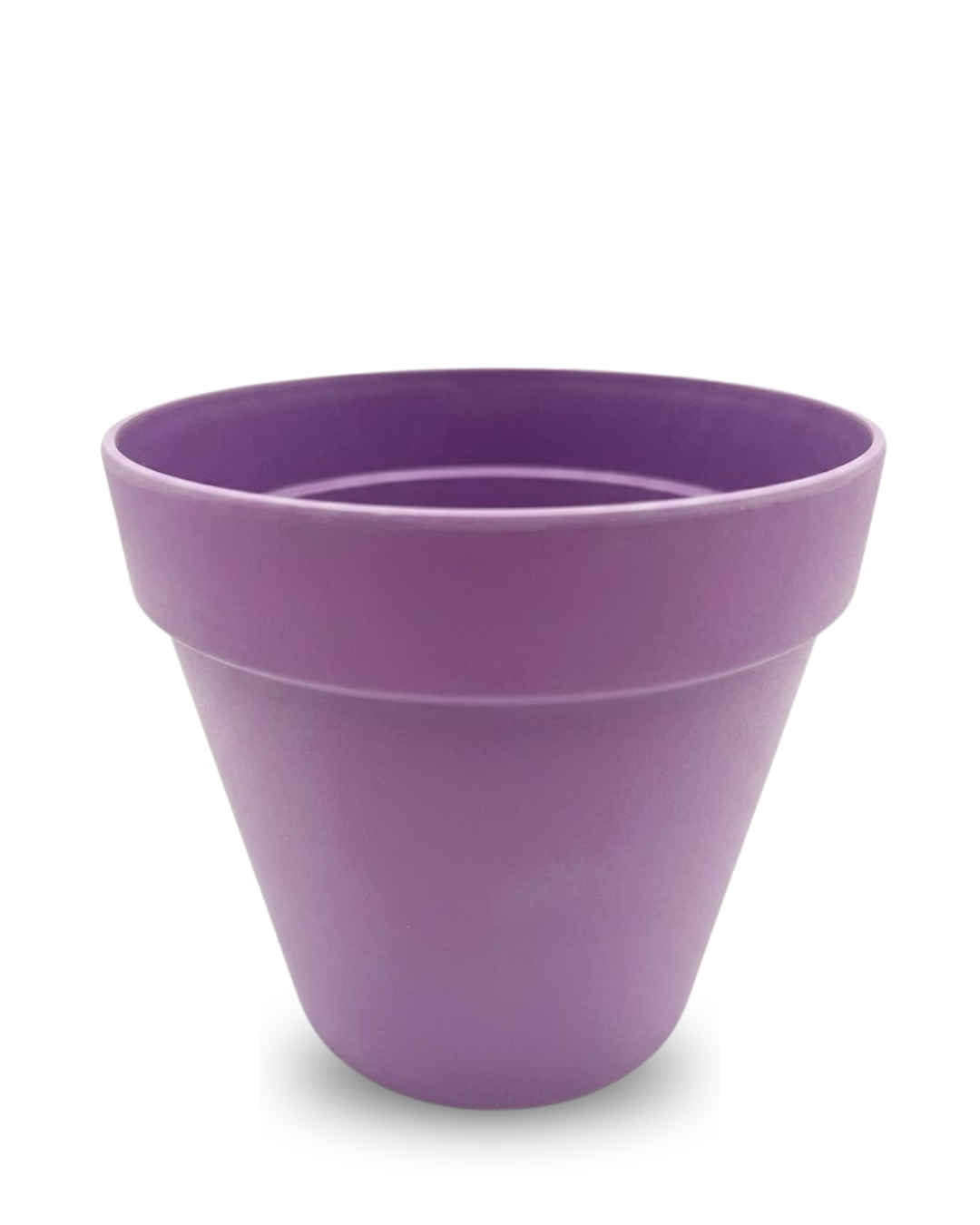 Violets dekoratīvs pods