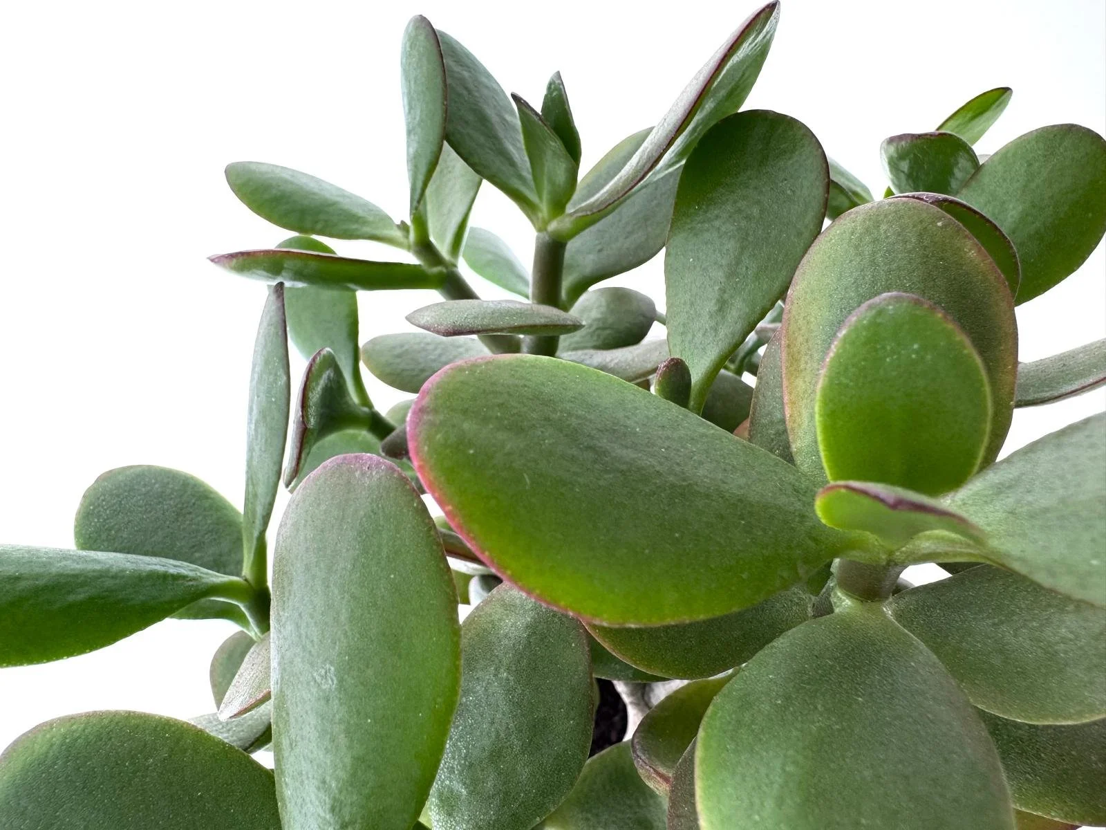 WhatsApp Image 2026-03-10 at 15.18.56 (2).jpeg