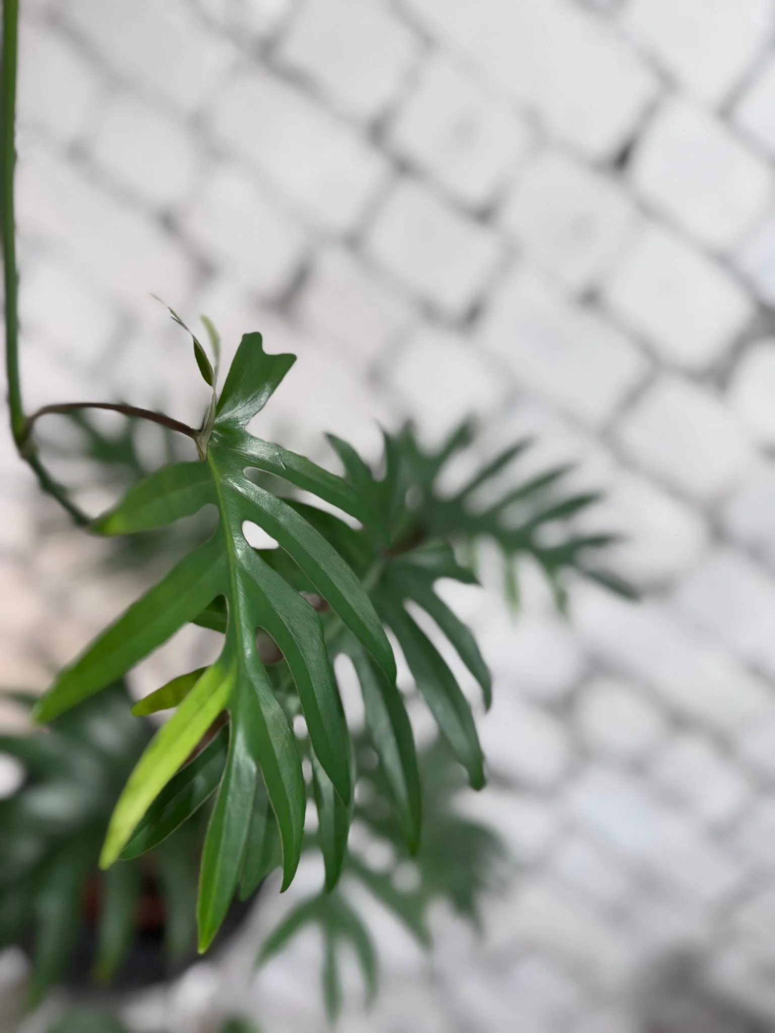 WhatsApp Image 2026-03-13 at 10.24.28 (1).jpeg