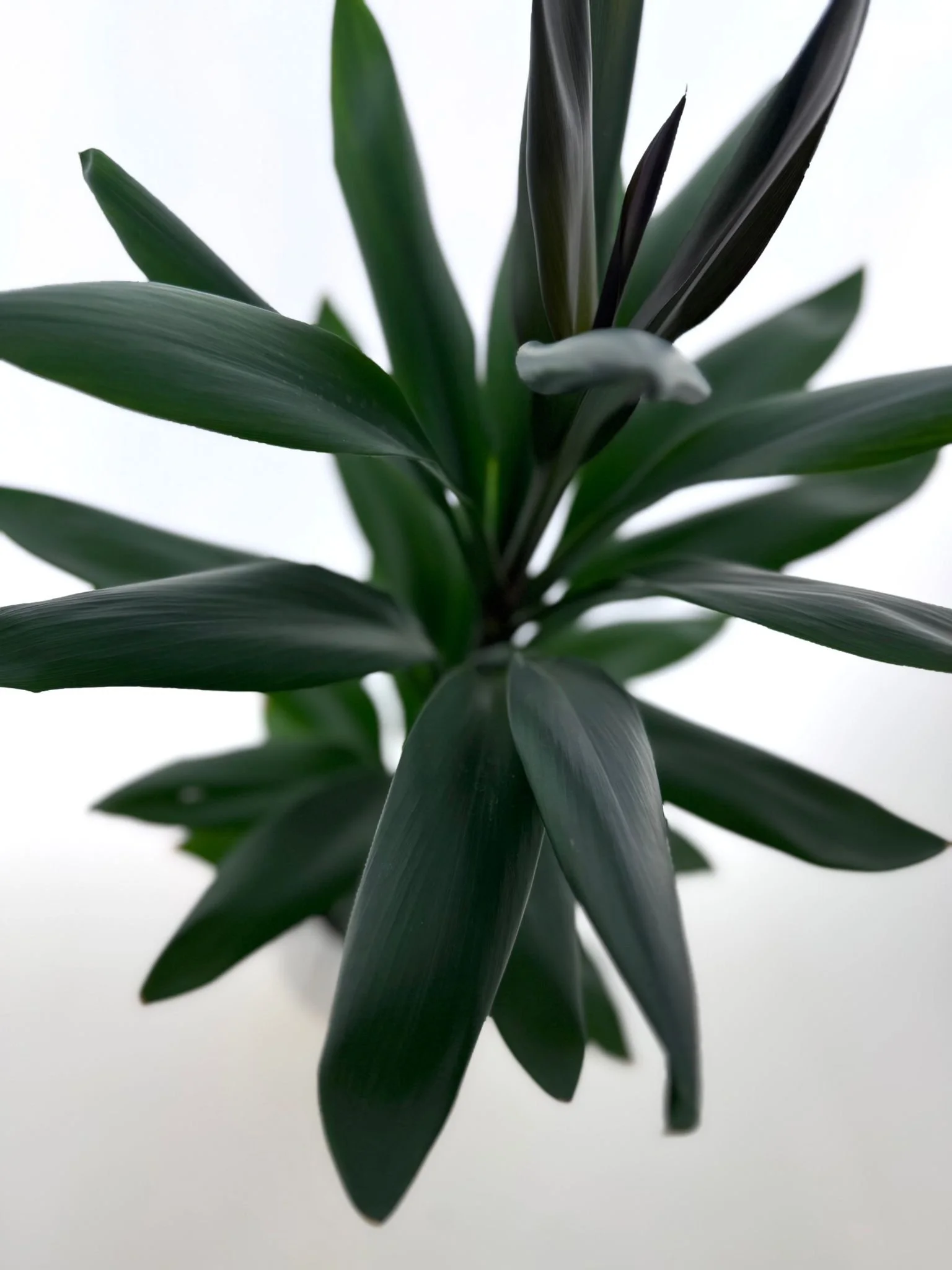 WhatsApp Image 2026-03-16 at 10.55.18.jpeg