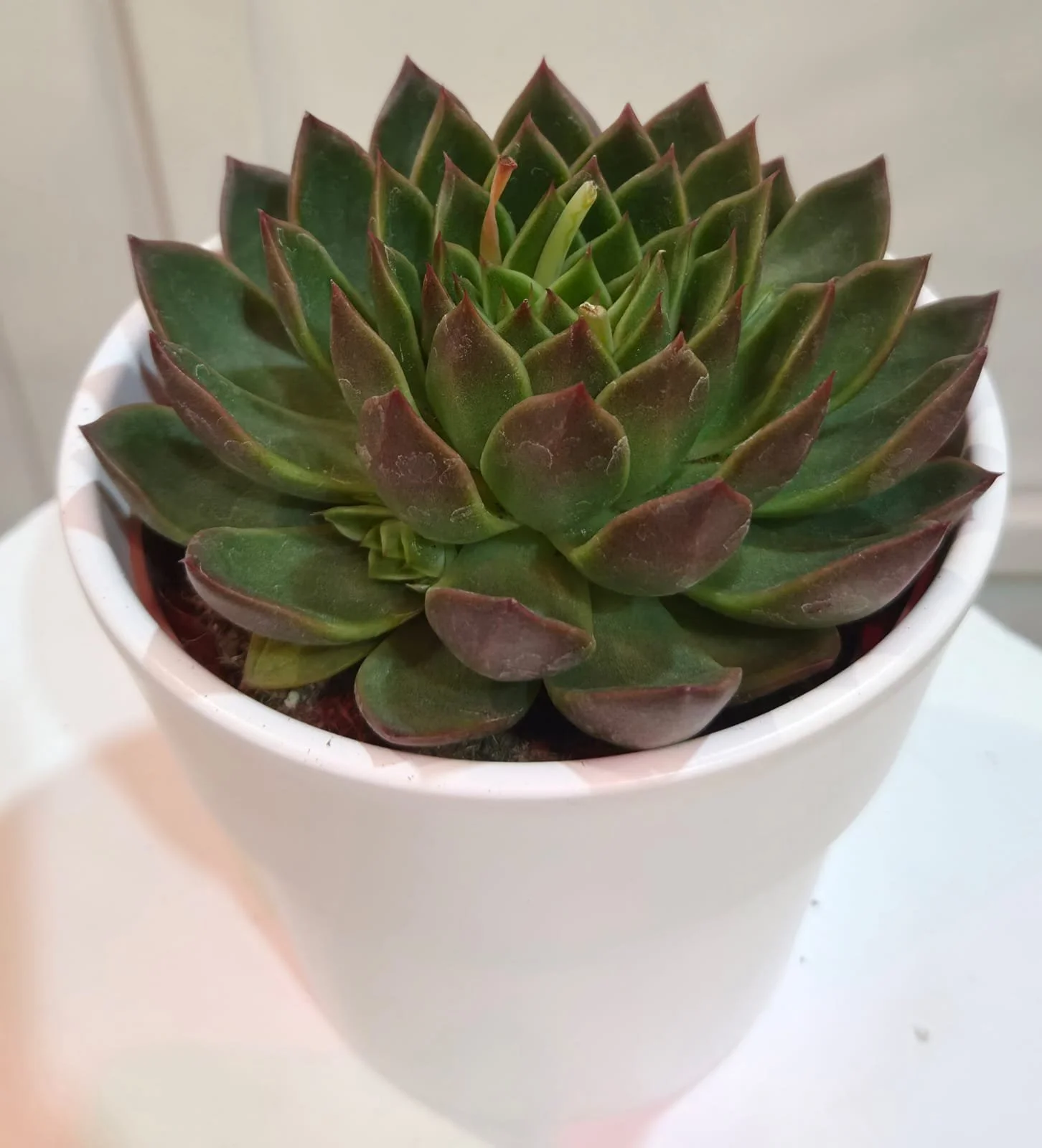 WhatsApp Image 2026-03-17 at 14.21.49.jpeg