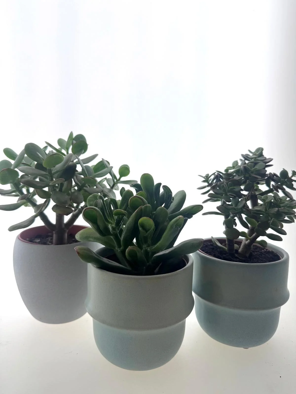 WhatsApp Image 2026-03-10 at 15.18.56 (6).jpeg