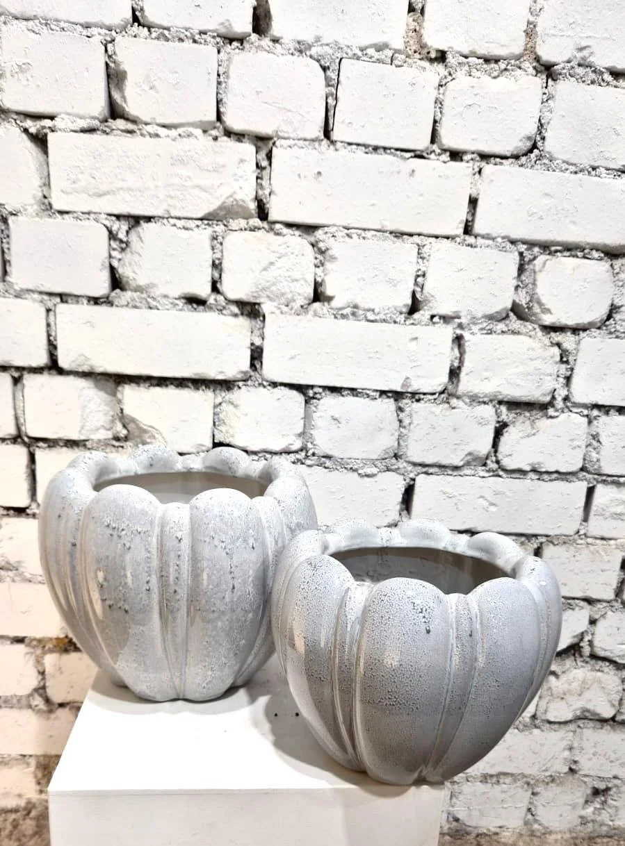 WhatsApp Image 2026-03-13 at 15.47.24.jpeg