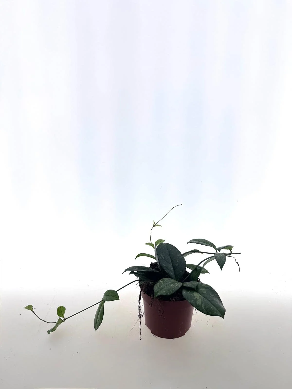 WhatsApp Image 2026-03-25 at 15.55.46 (2).jpeg