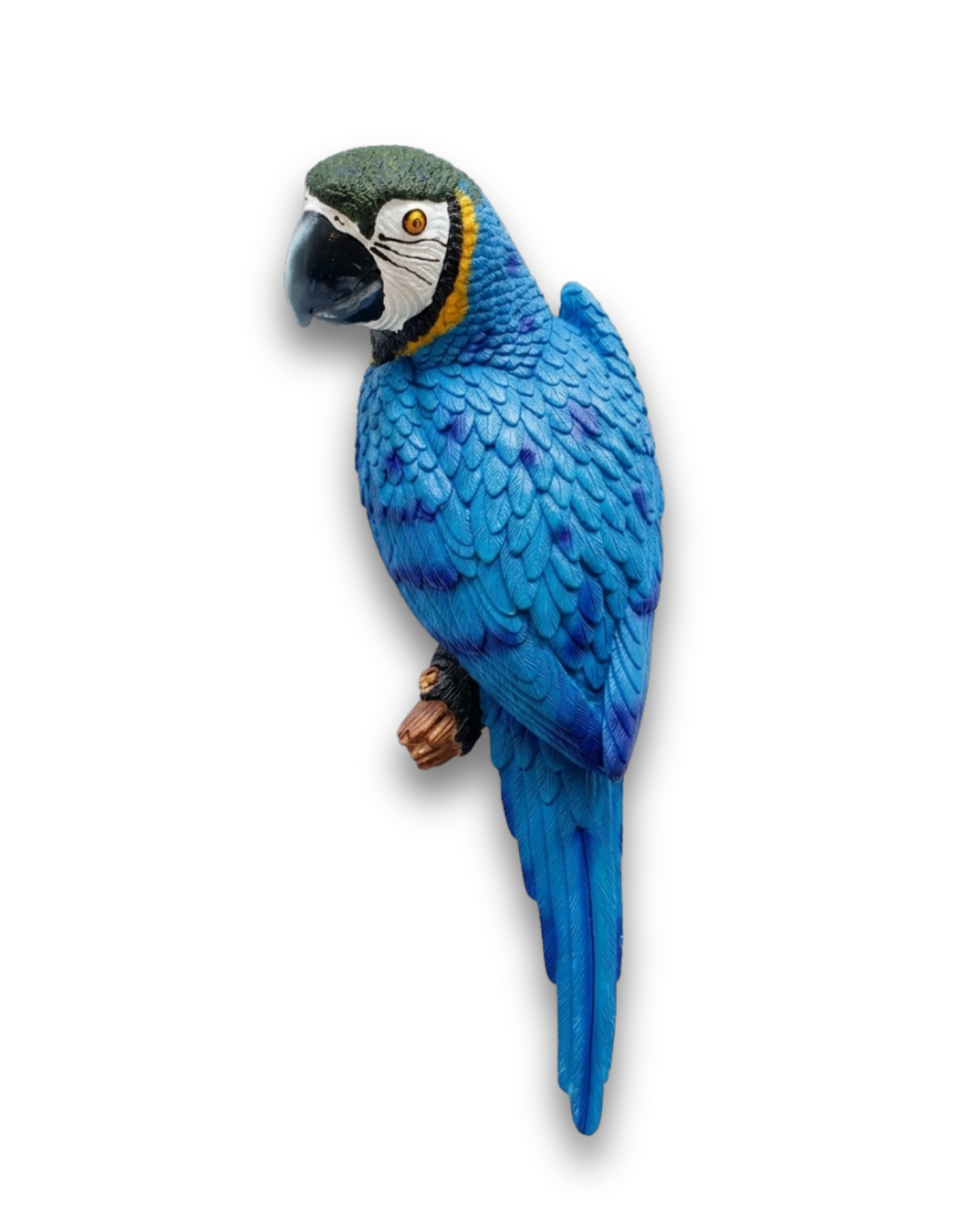 Untitled design (54).png