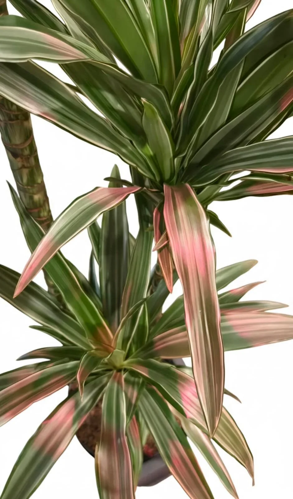 WhatsApp Image 2026-03-17 at 15.53.03 (6).jpeg