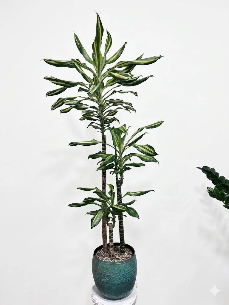 WhatsApp Image 2026-03-23 at 15.41.21 (2).jpeg