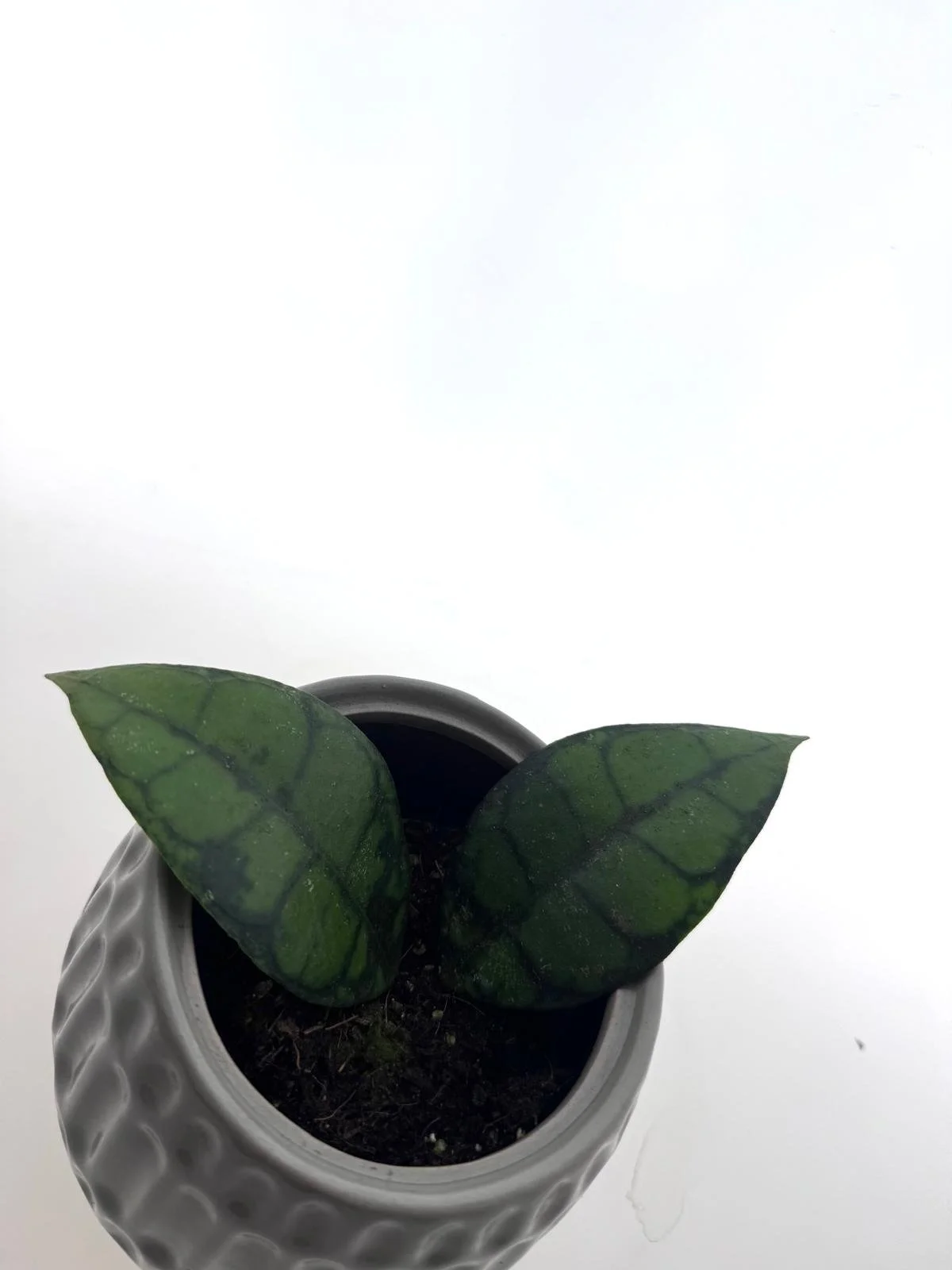 WhatsApp Image 2026-03-25 at 14.33.24 (1).jpeg