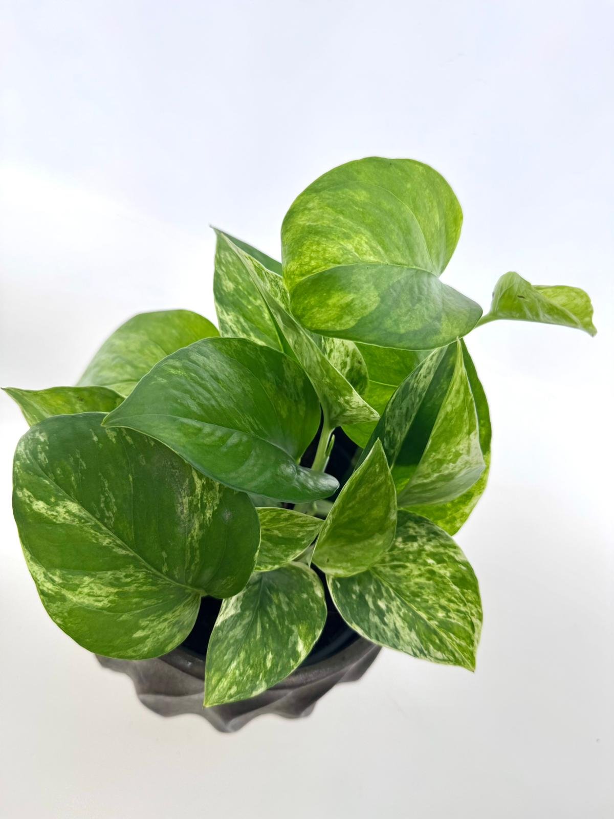 WhatsApp Image 2026-03-16 at 15.12.03 (1).jpeg