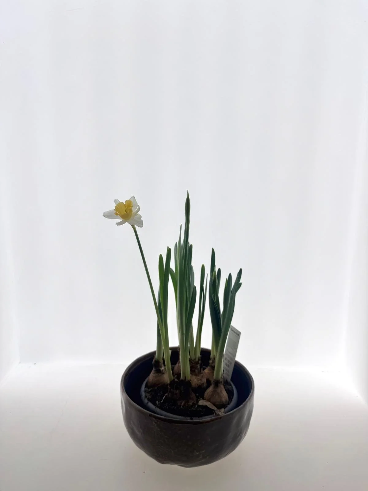 WhatsApp Image 2026-03-10 at 15.30.54.jpeg