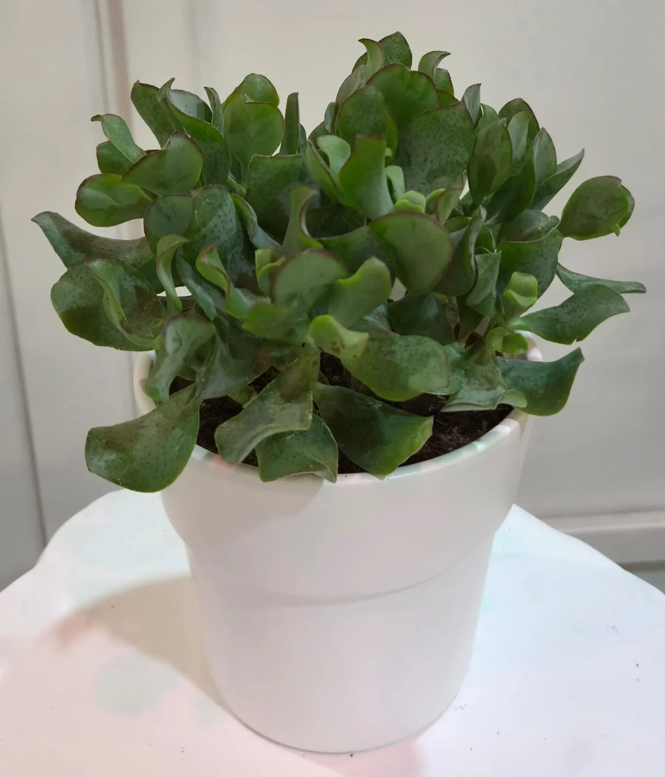 WhatsApp Image 2026-03-17 at 14.19.06 (3).jpeg