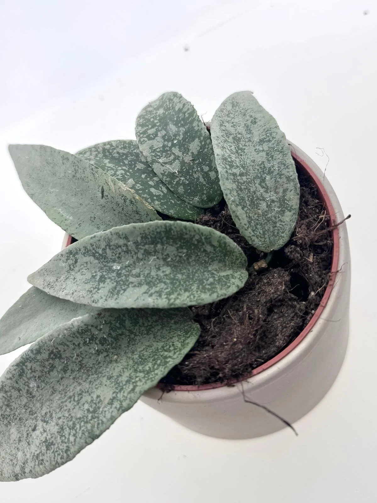 WhatsApp Image 2026-03-11 at 16.24.24.jpeg