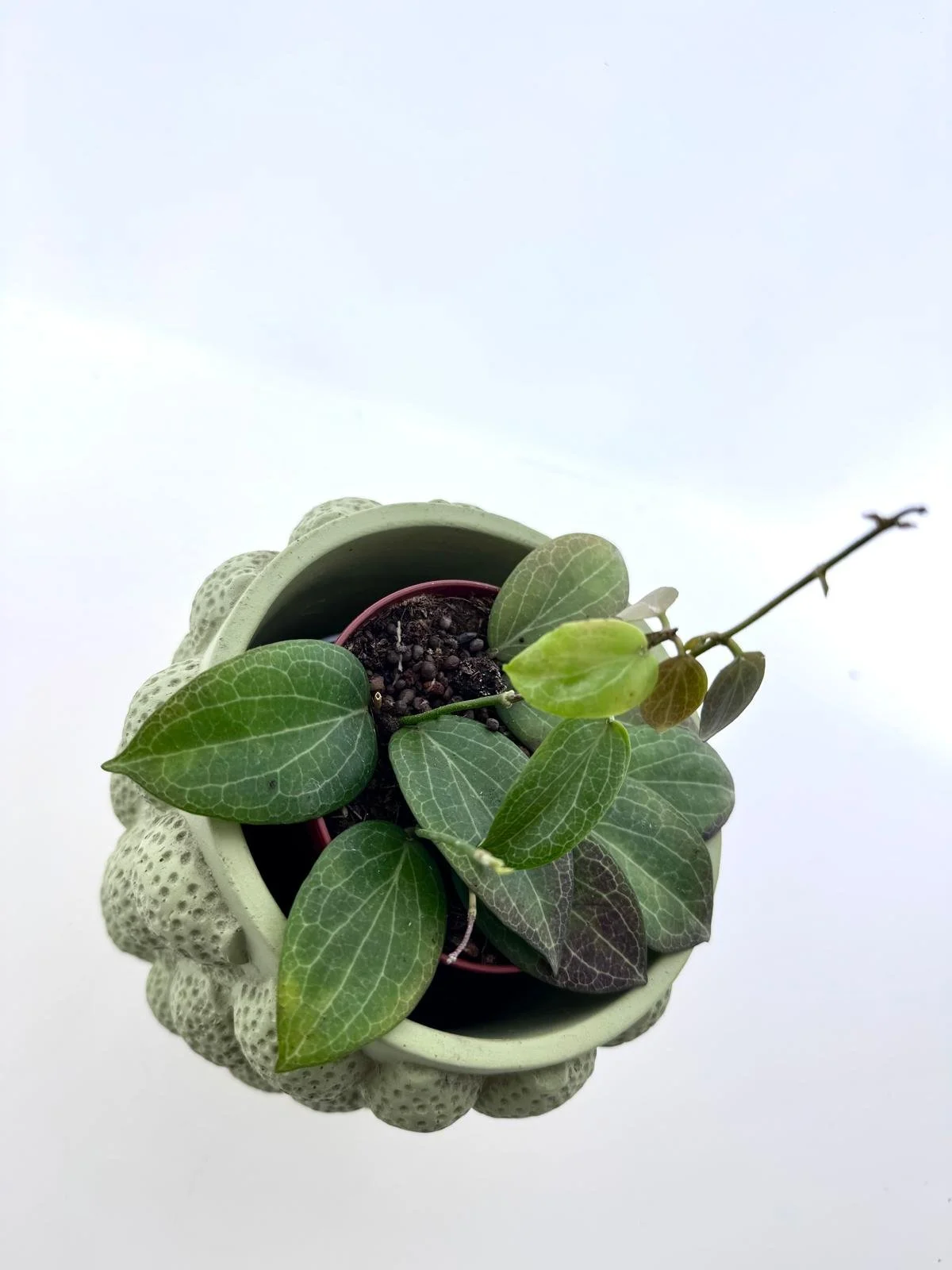 WhatsApp Image 2026-03-11 at 11.21.32 (1).jpeg