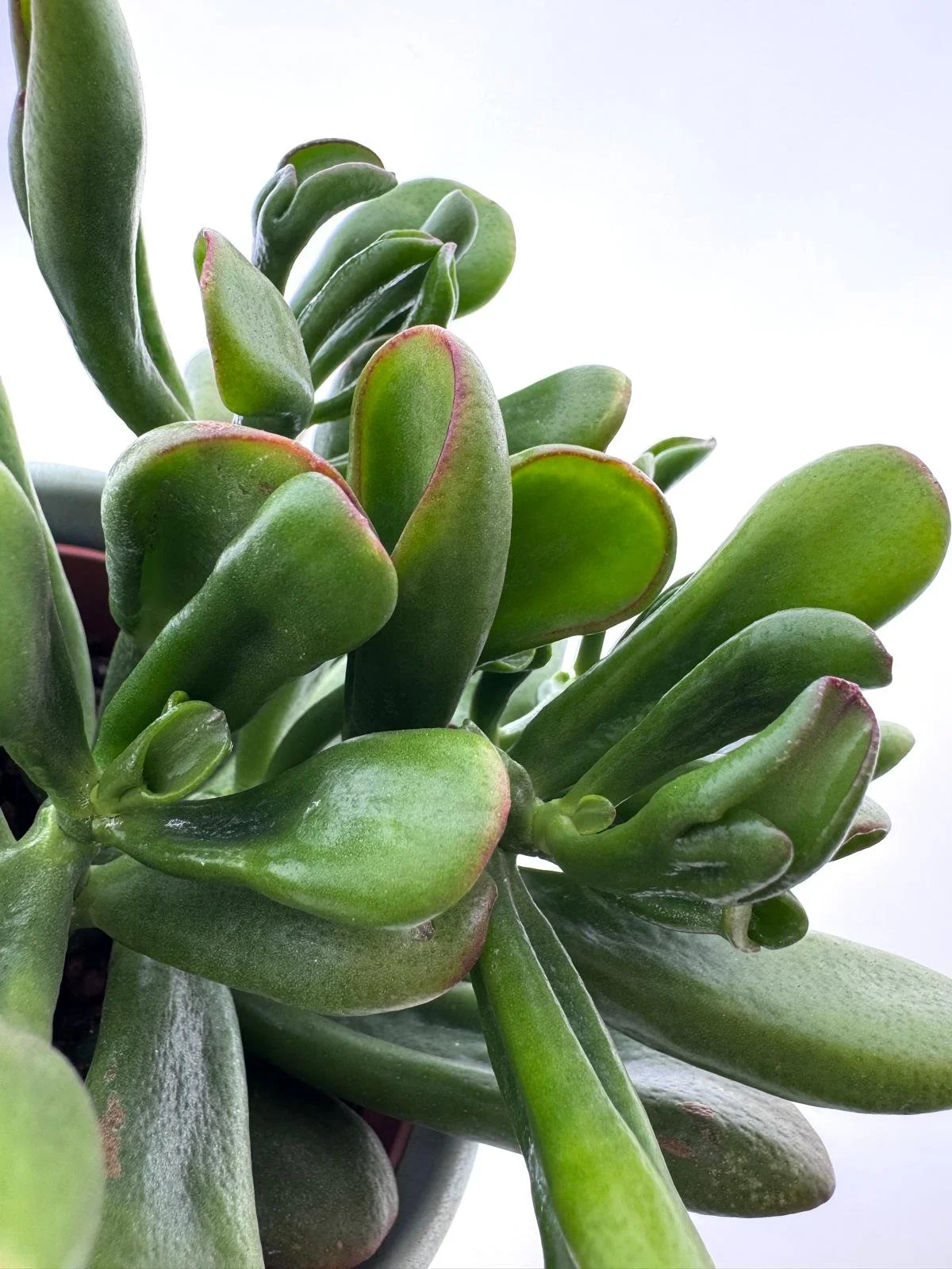 WhatsApp Image 2026-03-10 at 15.18.55 (6).jpeg