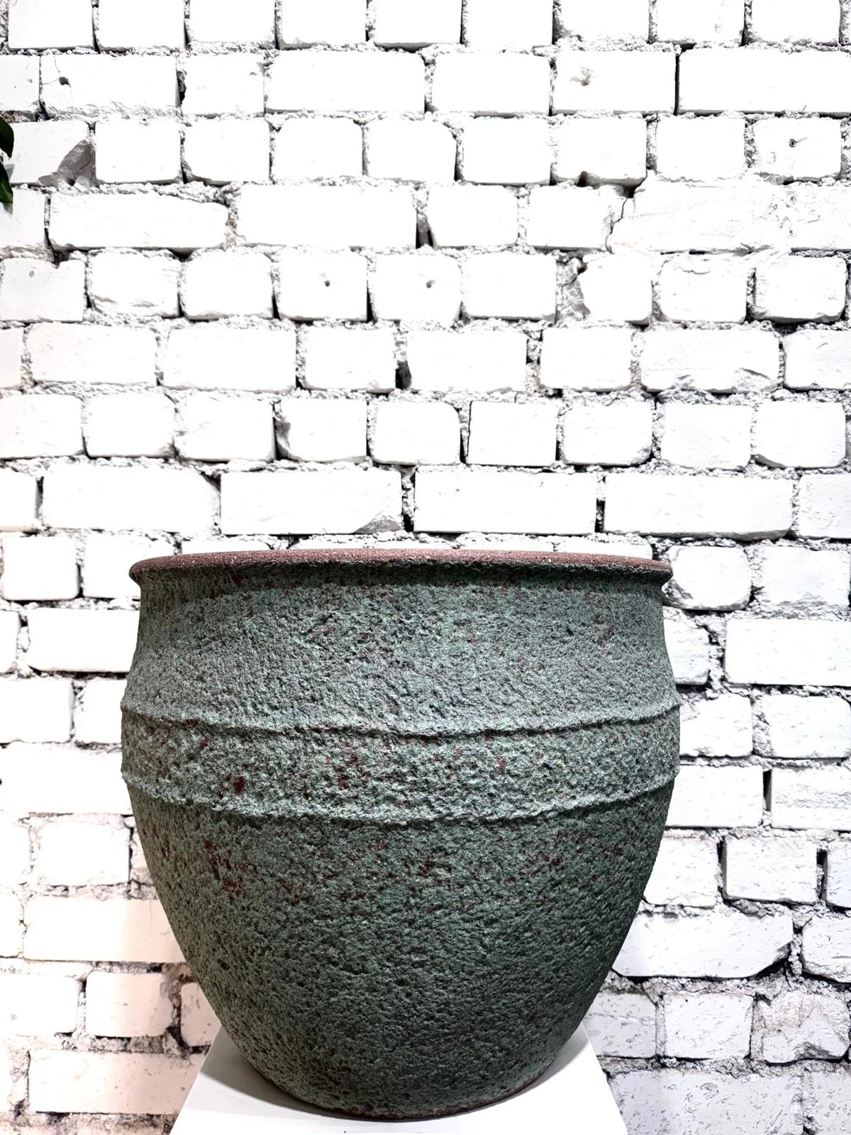 WhatsApp Image 2026-03-13 at 17.13.53.jpeg