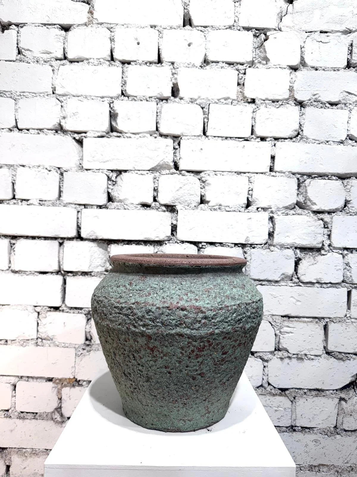 WhatsApp Image 2026-03-13 at 17.13.54.jpeg