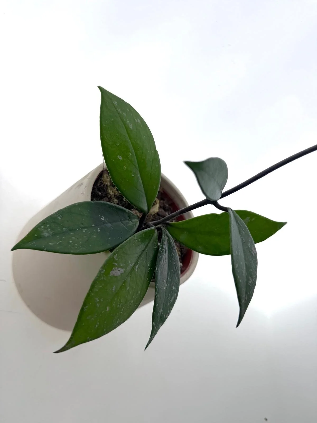 WhatsApp Image 2026-03-11 at 16.24.23.jpeg