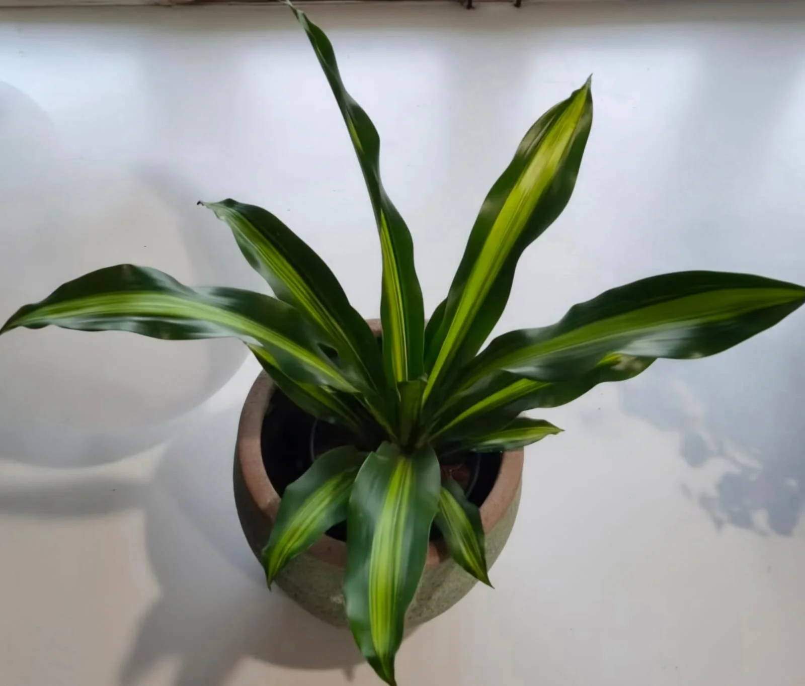 WhatsApp Image 2026-03-17 at 13.13.27.jpeg