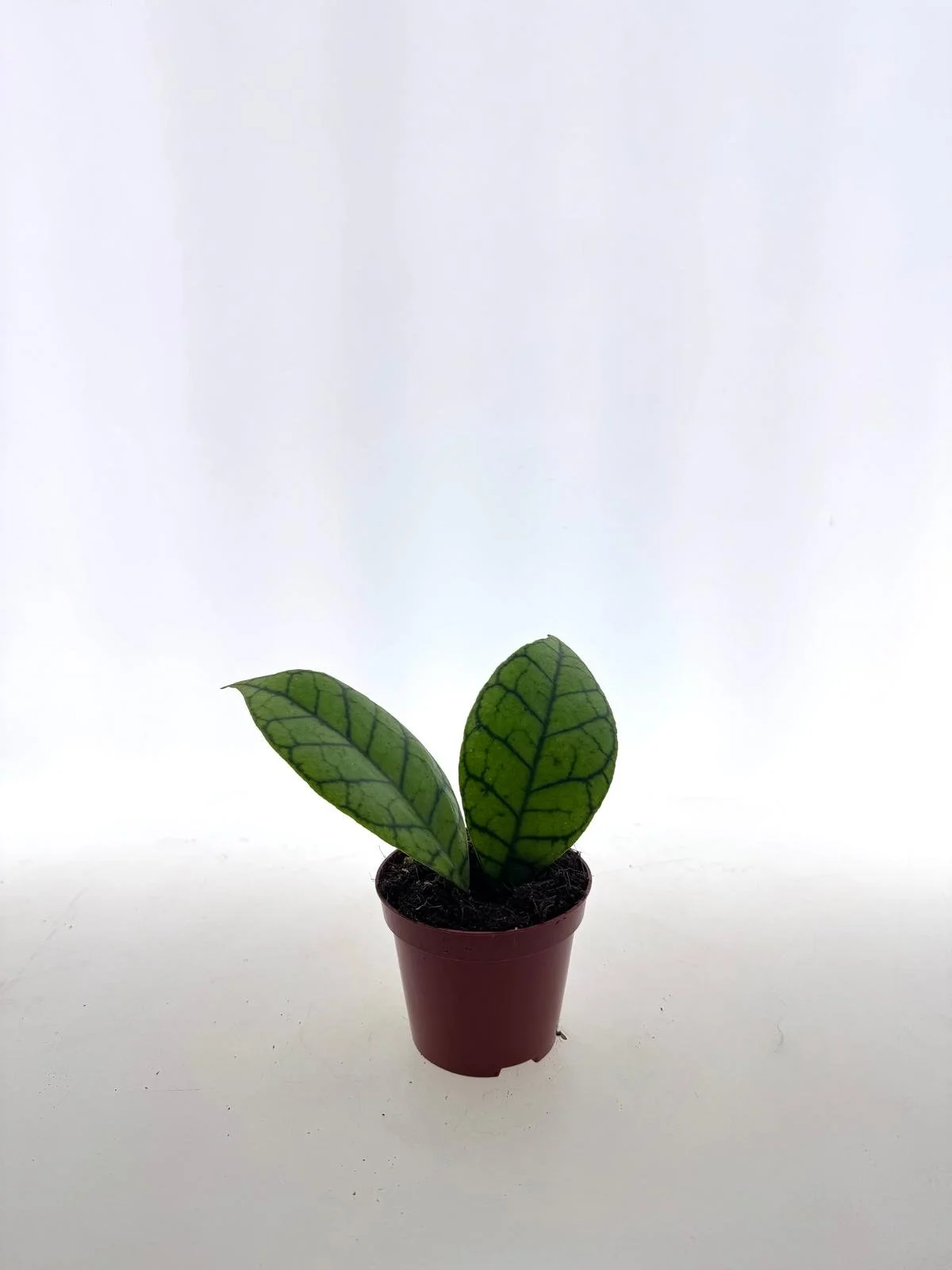 WhatsApp Image 2026-03-25 at 14.33.24 (7).jpeg