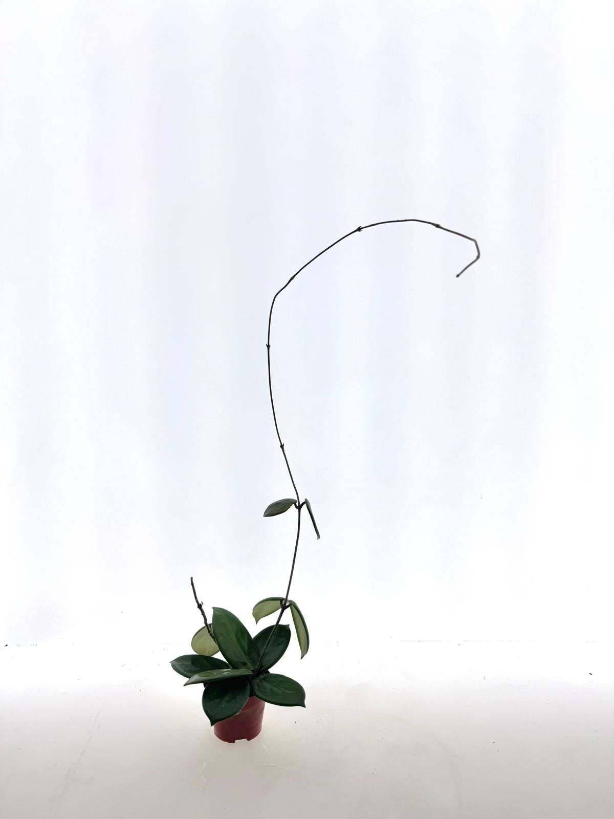 WhatsApp Image 2026-03-11 at 11.02.13 (2).jpeg